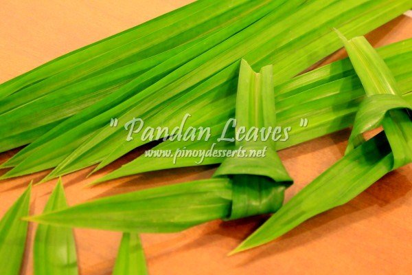 pandan leaves2